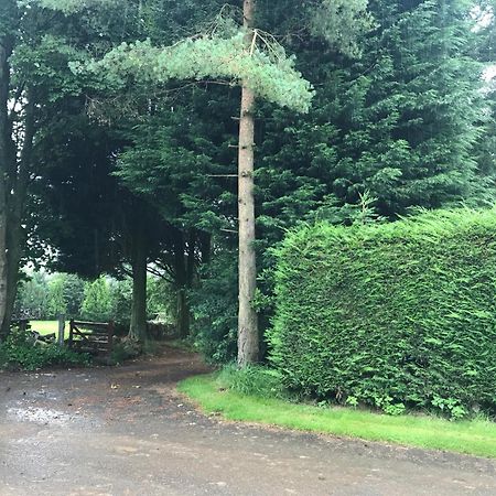 The Stables Near Glasgow Balmore Luaran gambar